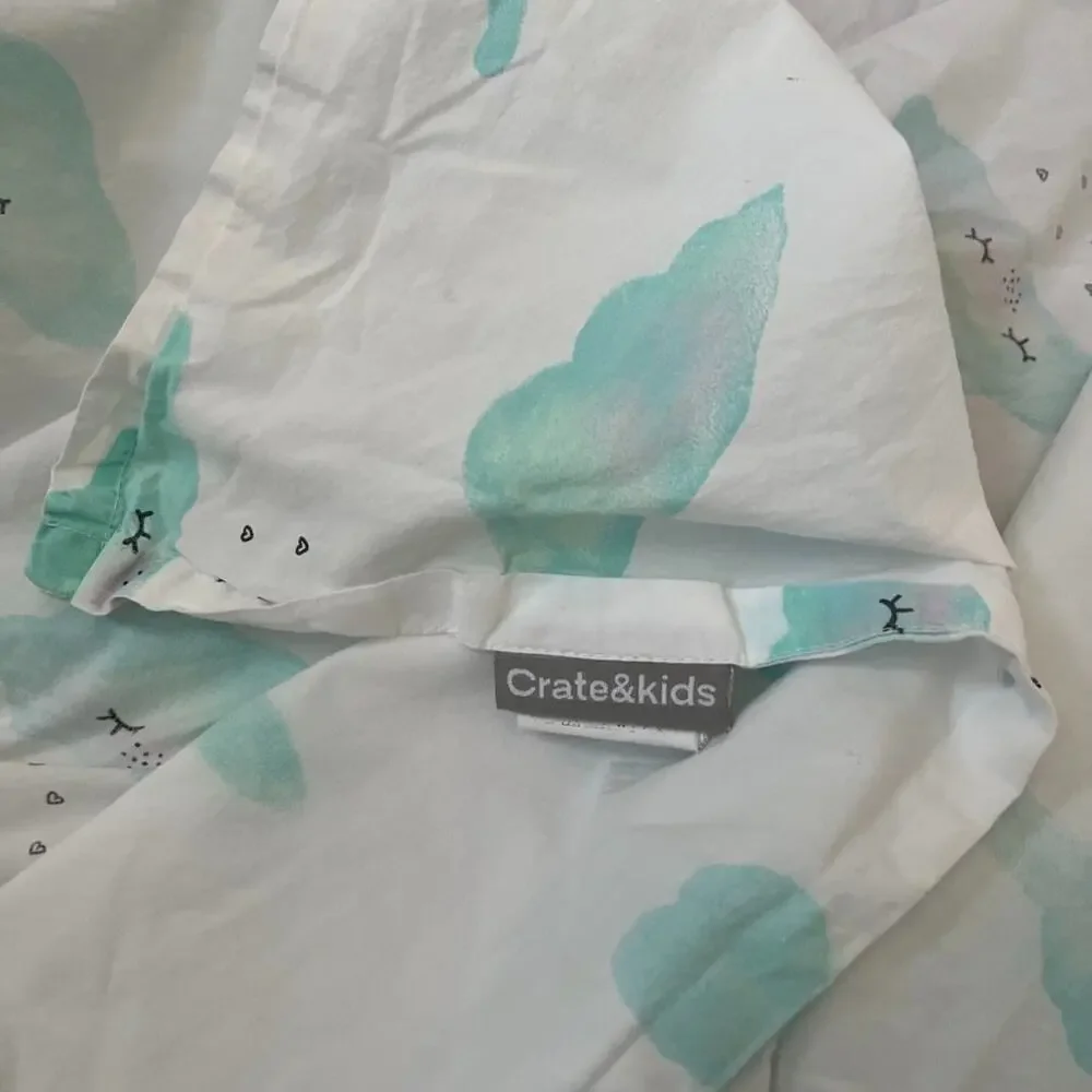 Crate & Kids Organic Cotton Twin Size Sheet Set Watercolor Cloud